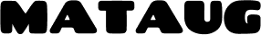 Mataug Solutions
